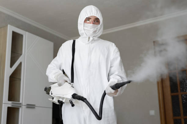 Best Mold Prevention Services  in USA